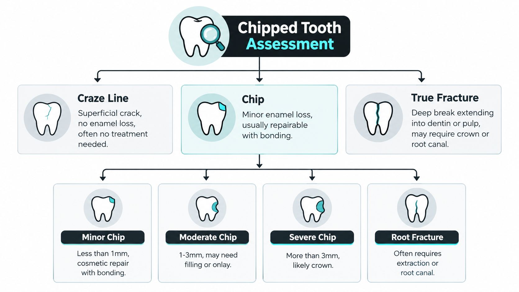 A dental chart categorizing different types of tooth damage including craze lines, chips, and tooth fractures.